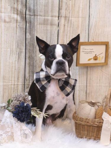 20241012ＡＤくん